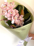 Luxury Cymbidium