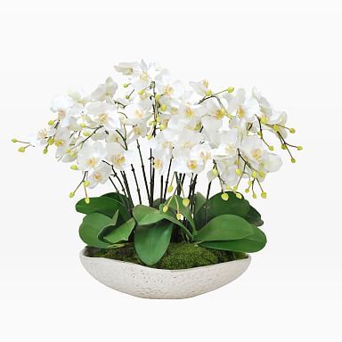 Faux Orchid in Durain Bowl