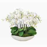 Faux Orchid in Durain Bowl